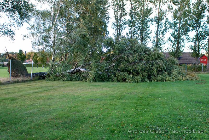 DSC_0025.JPG - Under helgens blåst välte två träd över Fotbollsplanen Korpen i Klippan.