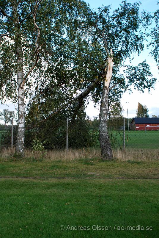 DSC_0034.JPG - Under helgens blåst välte två träd över Fotbollsplanen Korpen i Klippan.