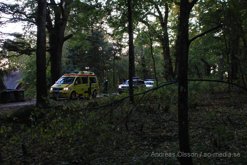 DSC_0012.JPG - Vid 17 tiden larmades räddningstjänst, ambulans och polis till Riseberga gården där ett träd fallit över en personbil, Först var två personer fastklämda men lyckades ta sig ut innan räddningstjänsten kom fram till platsen. Ingen person ska ha skadats allvarligt.