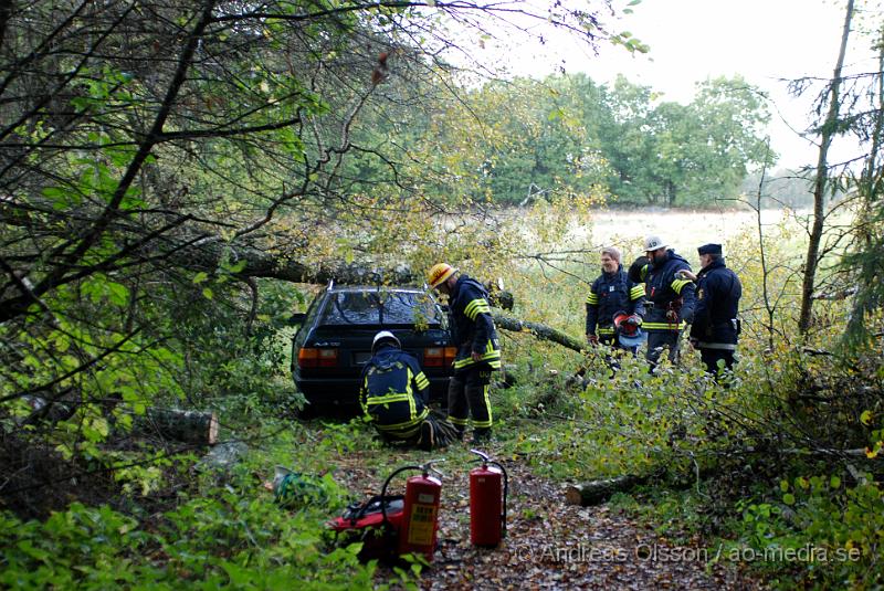 DSC_0014.JPG - Vid 17 tiden larmades räddningstjänst, ambulans och polis till Riseberga gården där ett träd fallit över en personbil, Först var två personer fastklämda men lyckades ta sig ut innan räddningstjänsten kom fram till platsen. Ingen person ska ha skadats allvarligt.