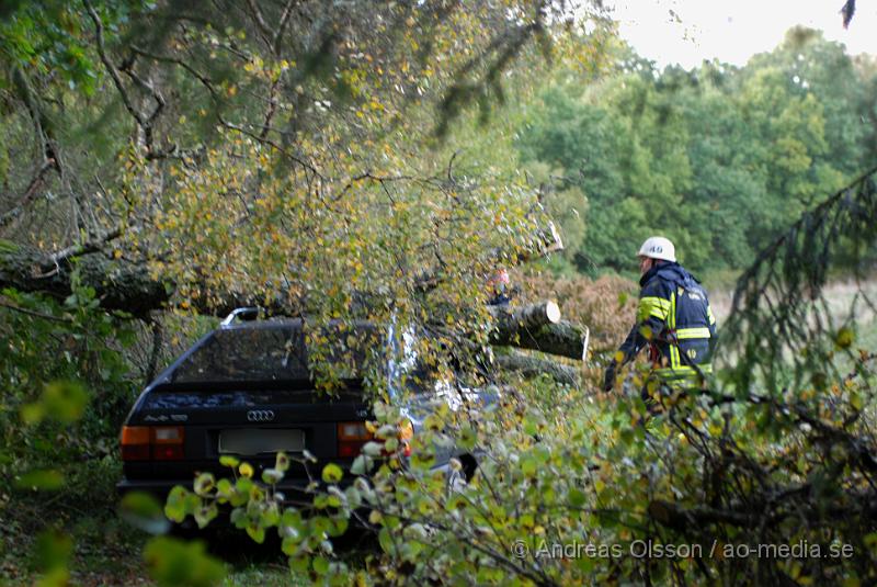 DSC_0020.JPG - Vid 17 tiden larmades räddningstjänst, ambulans och polis till Riseberga gården där ett träd fallit över en personbil, Först var två personer fastklämda men lyckades ta sig ut innan räddningstjänsten kom fram till platsen. Ingen person ska ha skadats allvarligt.