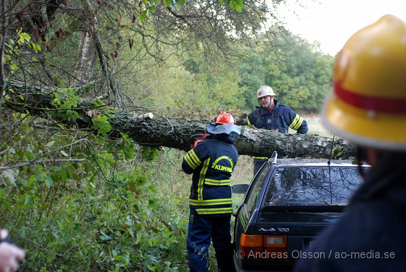 DSC_0028.JPG - Vid 17 tiden larmades räddningstjänst, ambulans och polis till Riseberga gården där ett träd fallit över en personbil, Först var två personer fastklämda men lyckades ta sig ut innan räddningstjänsten kom fram till platsen. Ingen person ska ha skadats allvarligt.