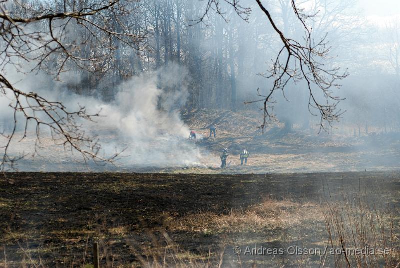 DSC_0048.JPG - Vid 12,50 larmades Räddningstjänsten från Klippan, Ljungbyhed, Perstorp, Svalöv och Hässleholm med flera, till en brand i en maskinhall i Aggarp utanför Ljungbyhed. Även polis och ambulans blev larmade till platsen. Det brann kraftigt i byggnaden och det spred sig till en hage som låg sidan om, det va en yta på ca 150x150meter som brann. Det ska även ha förekommit någon slags explosion från maskinhallen där det ska ha funnits en disel tank eller liknande. Det fanns en spridningsrisk till boningshus och andra byggnader. Ingen person ska ha kommit till skada.