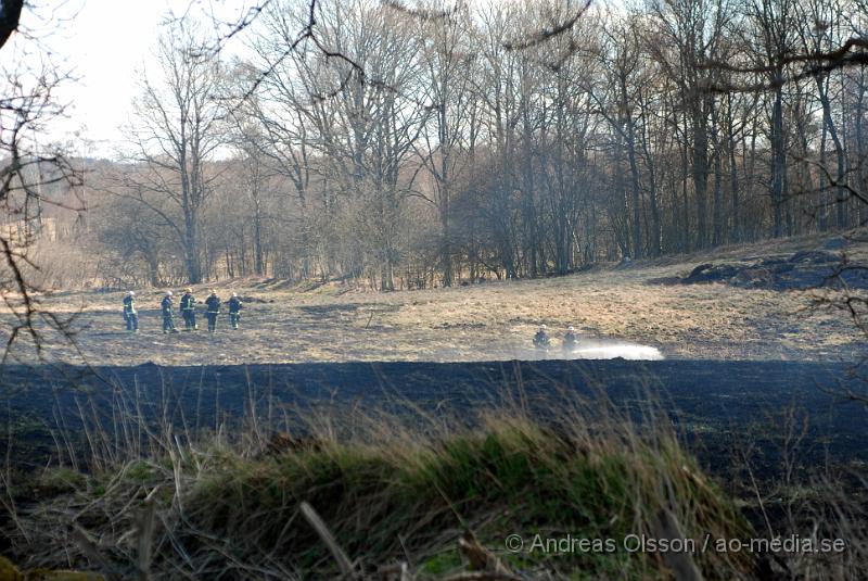 DSC_0090.JPG - Vid 12,50 larmades Räddningstjänsten från Klippan, Ljungbyhed, Perstorp, Svalöv och Hässleholm med flera, till en brand i en maskinhall i Aggarp utanför Ljungbyhed. Även polis och ambulans blev larmade till platsen. Det brann kraftigt i byggnaden och det spred sig till en hage som låg sidan om, det va en yta på ca 150x150meter som brann. Det ska även ha förekommit någon slags explosion från maskinhallen där det ska ha funnits en disel tank eller liknande. Det fanns en spridningsrisk till boningshus och andra byggnader. Ingen person ska ha kommit till skada.