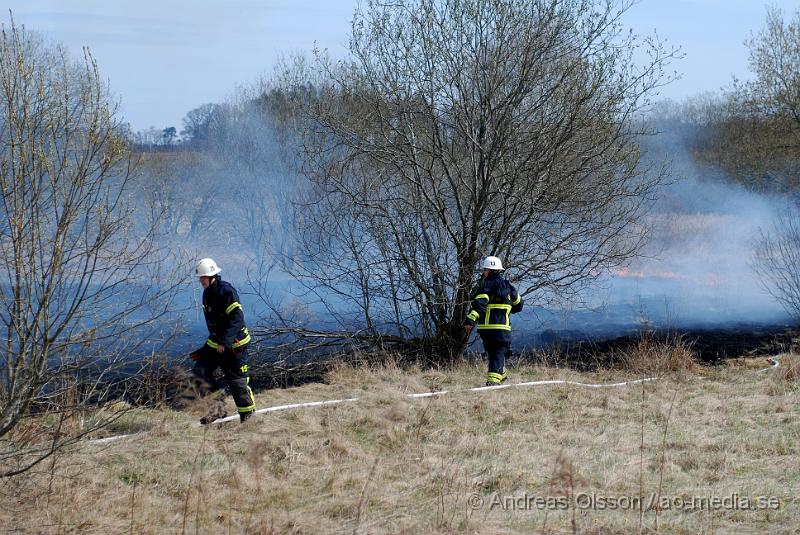 DSC_0079.JPG - vid 12,10 larmades räddningstjänsten till en gräsbrand bakom tegelbruksskolan i Klippan. Det var ett större område som brann. Men räddningstjänten fick kontroll över branden relativt snabbt. Bakom skolan nere vid reningsverket så är där bara långt tort gräs och träd, så hade inte branden upptäckts i tid hade de kunnat bli en farlig spridning.