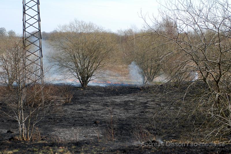 DSC_0083.JPG - vid 12,10 larmades räddningstjänsten till en gräsbrand bakom tegelbruksskolan i Klippan. Det var ett större område som brann. Men räddningstjänten fick kontroll över branden relativt snabbt. Bakom skolan nere vid reningsverket så är där bara långt tort gräs och träd, så hade inte branden upptäckts i tid hade de kunnat bli en farlig spridning.