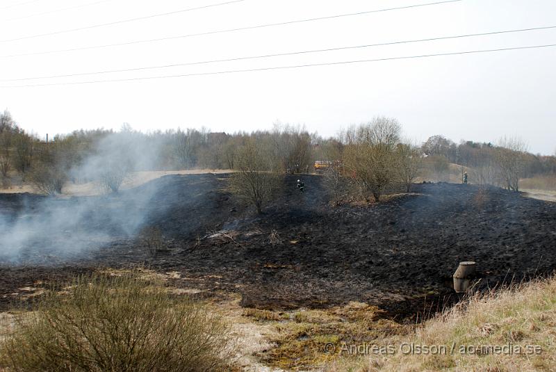 DSC_0097.JPG - vid 12,10 larmades räddningstjänsten till en gräsbrand bakom tegelbruksskolan i Klippan. Det var ett större område som brann. Men räddningstjänten fick kontroll över branden relativt snabbt. Bakom skolan nere vid reningsverket så är där bara långt tort gräs och träd, så hade inte branden upptäckts i tid hade de kunnat bli en farlig spridning.