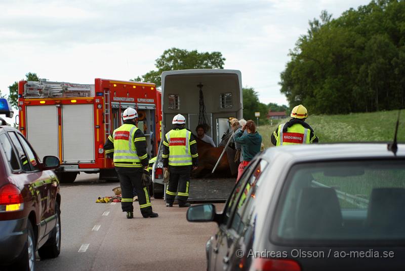 DSC_0008.JPG - Vid 18 tiden larmades Räddningstjänsten från Klippan och Åstorp till väg 13 där en personbil med hästsläp skulle ha vält, vid framkomst stod släpet upp men hästen i släpet låg ner på golvet och kunde inte resa sig. Så räddningstjänsten fick hugga in och hjälpa hästen upp på benen igen. När hästen väl kom upp såg den ut att må relativt bra. Oklart om den blivit skadad på något sätt. Ingen person kom till skada.