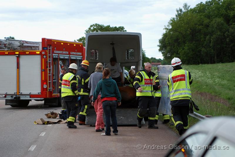 DSC_0015.JPG - Vid 18 tiden larmades Räddningstjänsten från Klippan och Åstorp till väg 13 där en personbil med hästsläp skulle ha vält, vid framkomst stod släpet upp men hästen i släpet låg ner på golvet och kunde inte resa sig. Så räddningstjänsten fick hugga in och hjälpa hästen upp på benen igen. När hästen väl kom upp såg den ut att må relativt bra. Oklart om den blivit skadad på något sätt. Ingen person kom till skada.