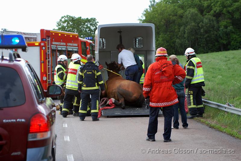 DSC_0023.JPG - Vid 18 tiden larmades Räddningstjänsten från Klippan och Åstorp till väg 13 där en personbil med hästsläp skulle ha vält, vid framkomst stod släpet upp men hästen i släpet låg ner på golvet och kunde inte resa sig. Så räddningstjänsten fick hugga in och hjälpa hästen upp på benen igen. När hästen väl kom upp såg den ut att må relativt bra. Oklart om den blivit skadad på något sätt. Ingen person kom till skada.