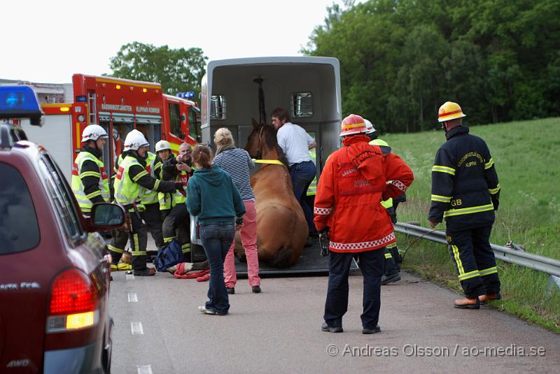 DSC_0026.JPG - Vid 18 tiden larmades Räddningstjänsten från Klippan och Åstorp till väg 13 där en personbil med hästsläp skulle ha vält, vid framkomst stod släpet upp men hästen i släpet låg ner på golvet och kunde inte resa sig. Så räddningstjänsten fick hugga in och hjälpa hästen upp på benen igen. När hästen väl kom upp såg den ut att må relativt bra. Oklart om den blivit skadad på något sätt. Ingen person kom till skada.