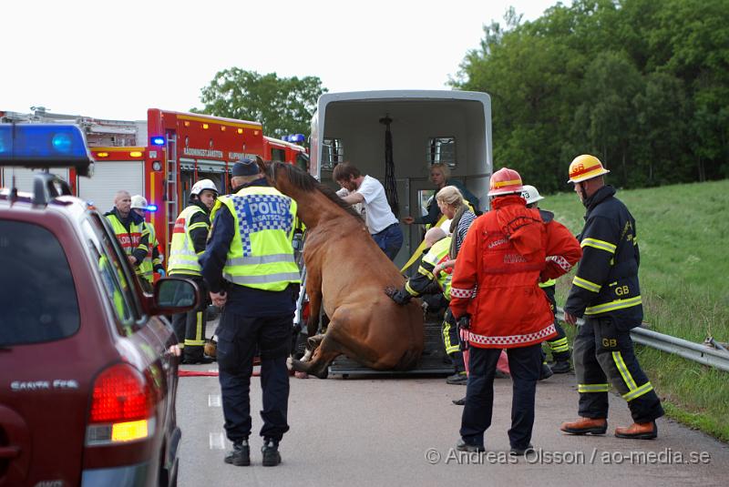 DSC_0036.JPG - Vid 18 tiden larmades Räddningstjänsten från Klippan och Åstorp till väg 13 där en personbil med hästsläp skulle ha vält, vid framkomst stod släpet upp men hästen i släpet låg ner på golvet och kunde inte resa sig. Så räddningstjänsten fick hugga in och hjälpa hästen upp på benen igen. När hästen väl kom upp såg den ut att må relativt bra. Oklart om den blivit skadad på något sätt. Ingen person kom till skada.