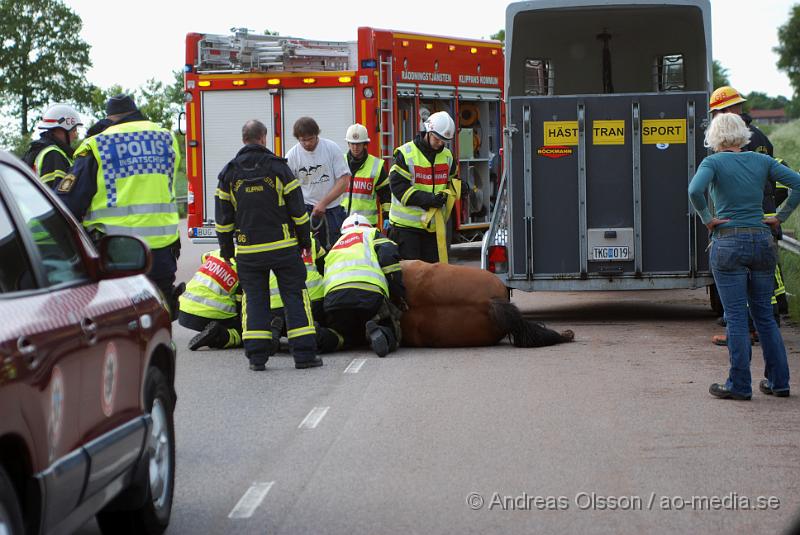 DSC_0039.JPG - Vid 18 tiden larmades Räddningstjänsten från Klippan och Åstorp till väg 13 där en personbil med hästsläp skulle ha vält, vid framkomst stod släpet upp men hästen i släpet låg ner på golvet och kunde inte resa sig. Så räddningstjänsten fick hugga in och hjälpa hästen upp på benen igen. När hästen väl kom upp såg den ut att må relativt bra. Oklart om den blivit skadad på något sätt. Ingen person kom till skada.