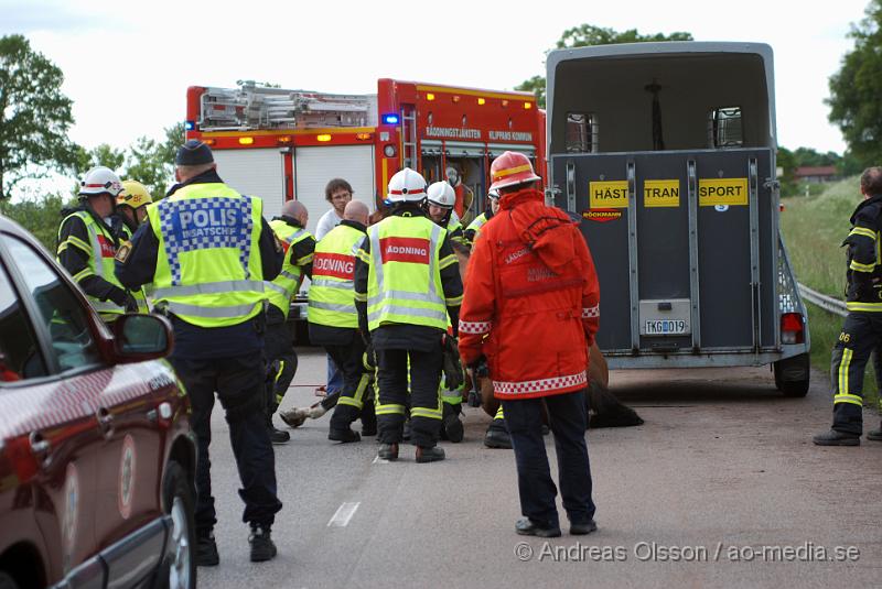 DSC_0040.JPG - Vid 18 tiden larmades Räddningstjänsten från Klippan och Åstorp till väg 13 där en personbil med hästsläp skulle ha vält, vid framkomst stod släpet upp men hästen i släpet låg ner på golvet och kunde inte resa sig. Så räddningstjänsten fick hugga in och hjälpa hästen upp på benen igen. När hästen väl kom upp såg den ut att må relativt bra. Oklart om den blivit skadad på något sätt. Ingen person kom till skada.