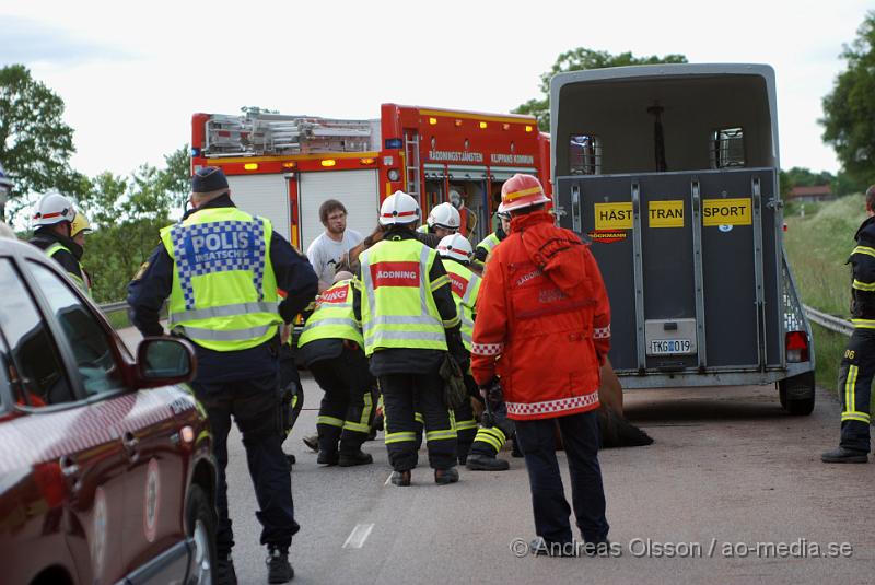 DSC_0042.JPG - Vid 18 tiden larmades Räddningstjänsten från Klippan och Åstorp till väg 13 där en personbil med hästsläp skulle ha vält, vid framkomst stod släpet upp men hästen i släpet låg ner på golvet och kunde inte resa sig. Så räddningstjänsten fick hugga in och hjälpa hästen upp på benen igen. När hästen väl kom upp såg den ut att må relativt bra. Oklart om den blivit skadad på något sätt. Ingen person kom till skada.