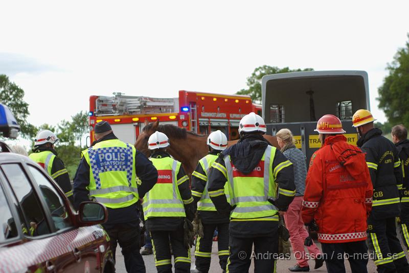 DSC_0047.JPG - Vid 18 tiden larmades Räddningstjänsten från Klippan och Åstorp till väg 13 där en personbil med hästsläp skulle ha vält, vid framkomst stod släpet upp men hästen i släpet låg ner på golvet och kunde inte resa sig. Så räddningstjänsten fick hugga in och hjälpa hästen upp på benen igen. När hästen väl kom upp såg den ut att må relativt bra. Oklart om den blivit skadad på något sätt. Ingen person kom till skada.