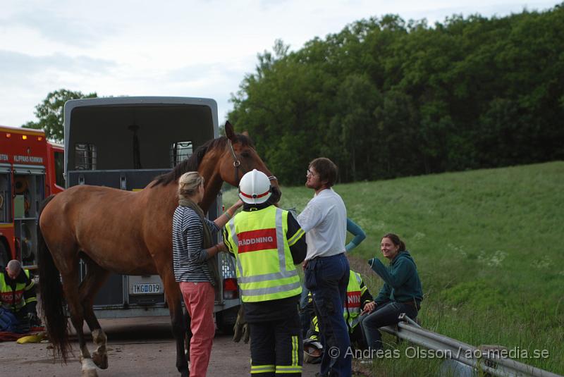 DSC_0057.JPG - Vid 18 tiden larmades Räddningstjänsten från Klippan och Åstorp till väg 13 där en personbil med hästsläp skulle ha vält, vid framkomst stod släpet upp men hästen i släpet låg ner på golvet och kunde inte resa sig. Så räddningstjänsten fick hugga in och hjälpa hästen upp på benen igen. När hästen väl kom upp såg den ut att må relativt bra. Oklart om den blivit skadad på något sätt. Ingen person kom till skada.