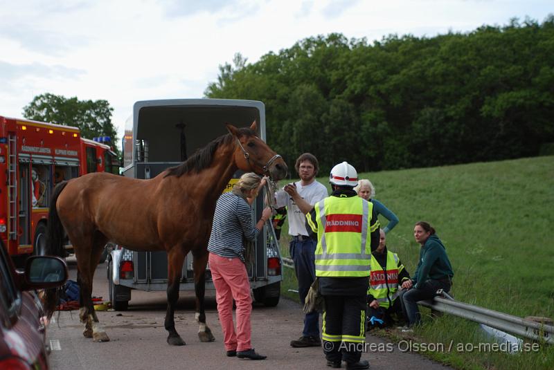 DSC_0058.JPG - Vid 18 tiden larmades Räddningstjänsten från Klippan och Åstorp till väg 13 där en personbil med hästsläp skulle ha vält, vid framkomst stod släpet upp men hästen i släpet låg ner på golvet och kunde inte resa sig. Så räddningstjänsten fick hugga in och hjälpa hästen upp på benen igen. När hästen väl kom upp såg den ut att må relativt bra. Oklart om den blivit skadad på något sätt. Ingen person kom till skada.