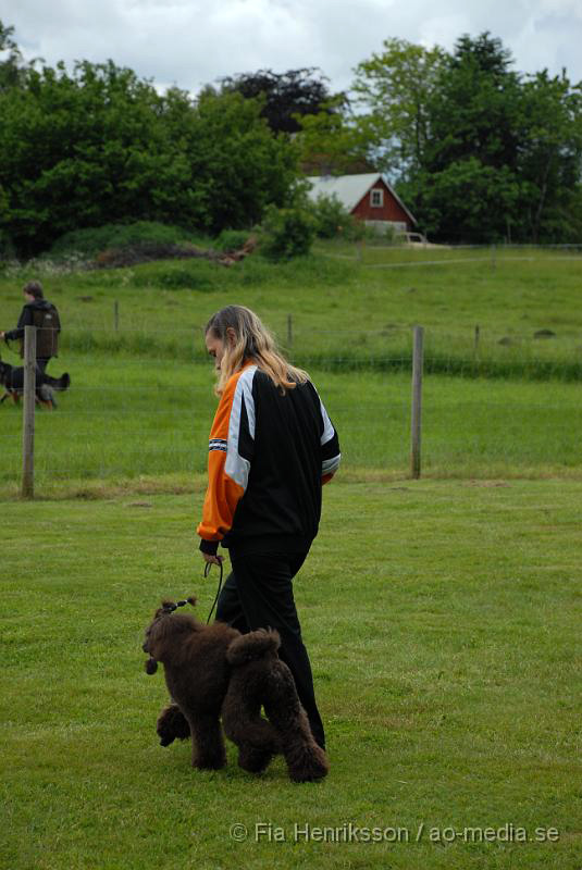 DSC_00024.JPG - 2010-06-20 Hundens dag på Axtorps Hundskola - Marie och Pärlan