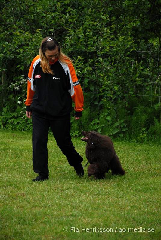 DSC_00034.JPG - 2010-06-20 Hundens dag på Axtorps Hundskola - Marie och Pärlan