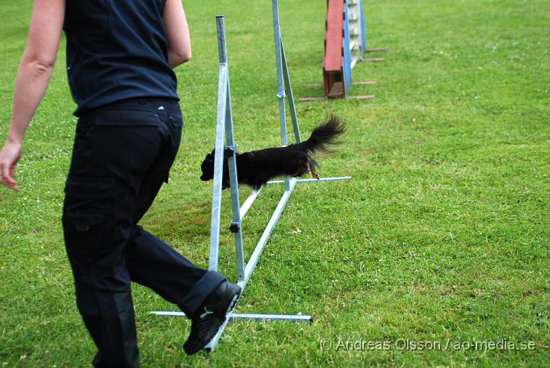 DSC_0004.JPG - 2010-06-20 Hundens dag på Axtorps Hundskola - Agility