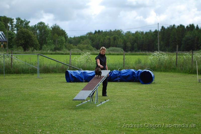 DSC_0007.JPG - 2010-06-20 Hundens dag på Axtorps Hundskola - Agility