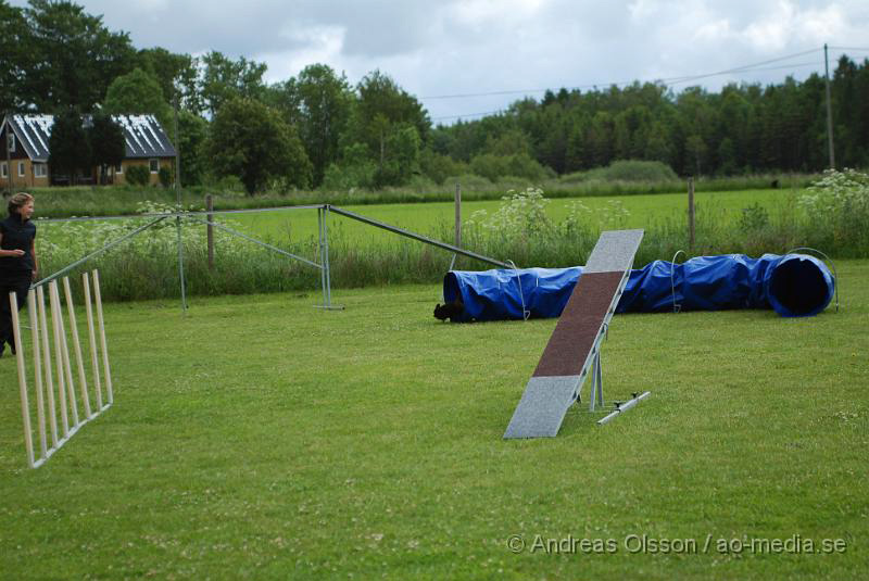 DSC_0008.JPG - 2010-06-20 Hundens dag på Axtorps Hundskola - Agility