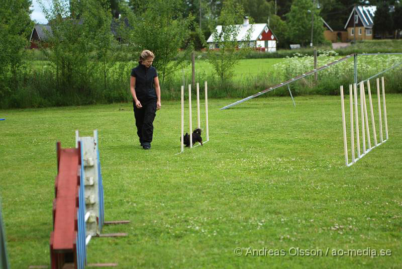 DSC_0009.JPG - 2010-06-20 Hundens dag på Axtorps Hundskola - Agility