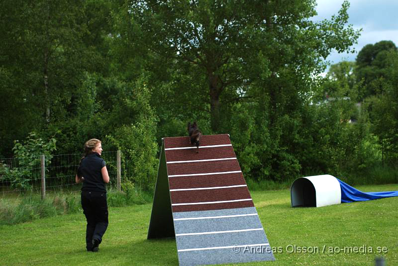 DSC_0011.JPG - 2010-06-20 Hundens dag på Axtorps Hundskola - Agility