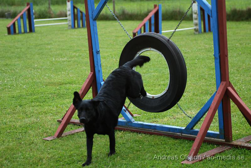 DSC_0017.JPG - 2010-06-20 Hundens dag på Axtorps Hundskola - Agility