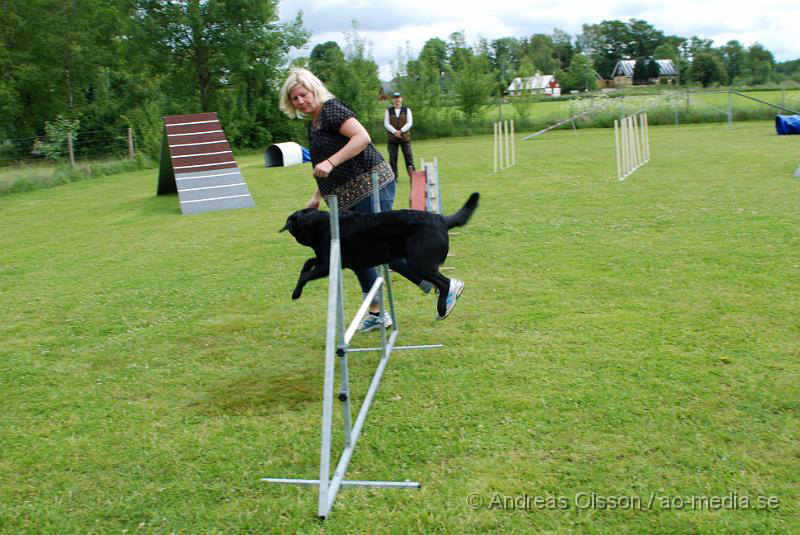 DSC_0018.JPG - 2010-06-20 Hundens dag på Axtorps Hundskola - Agility