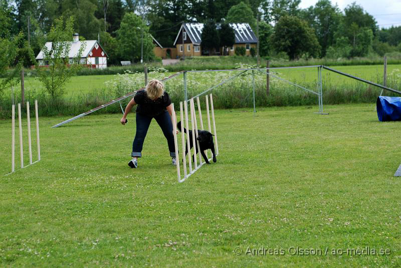 DSC_0019.JPG - 2010-06-20 Hundens dag på Axtorps Hundskola - Agility