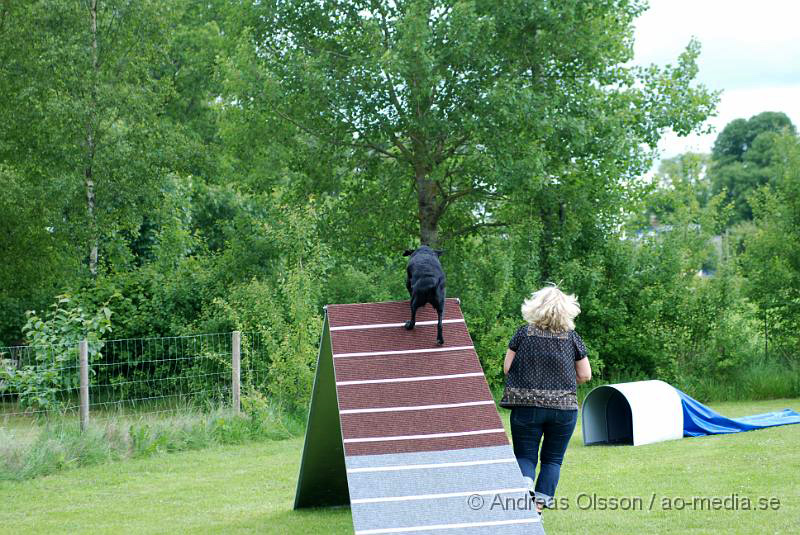 DSC_0022.JPG - 2010-06-20 Hundens dag på Axtorps Hundskola - Agility