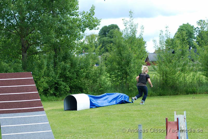 DSC_0023.JPG - 2010-06-20 Hundens dag på Axtorps Hundskola - Agility