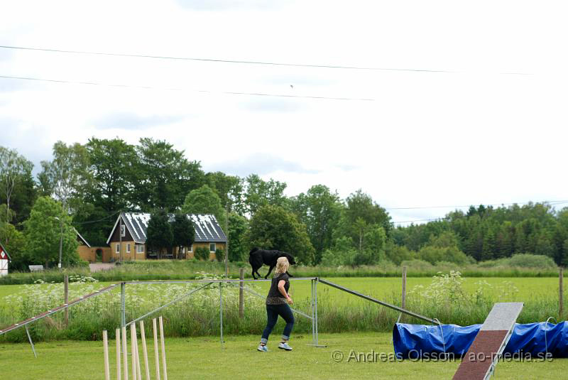 DSC_0024.JPG - 2010-06-20 Hundens dag på Axtorps Hundskola - Agility