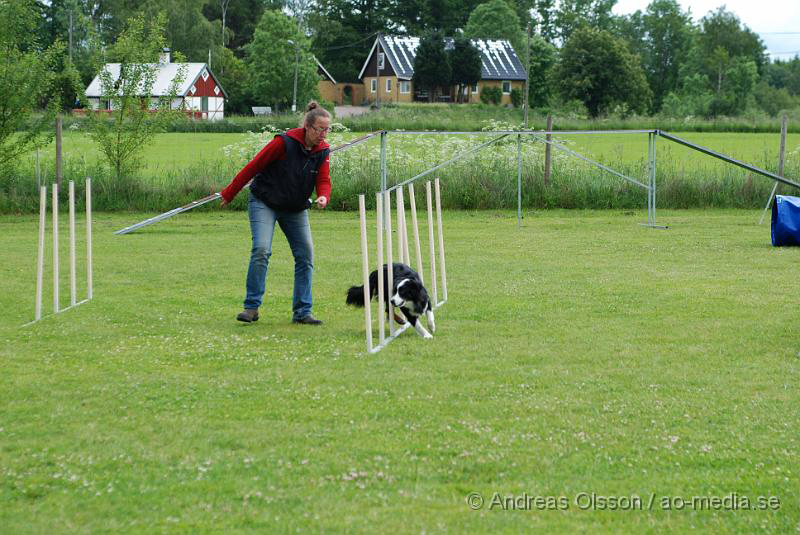 DSC_0026.JPG - 2010-06-20 Hundens dag på Axtorps Hundskola - Agility