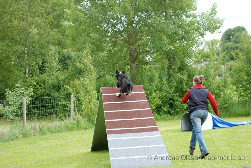 DSC_0027.JPG - 2010-06-20 Hundens dag på Axtorps Hundskola - Agility