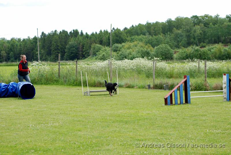 DSC_0028.JPG - 2010-06-20 Hundens dag på Axtorps Hundskola - Agility