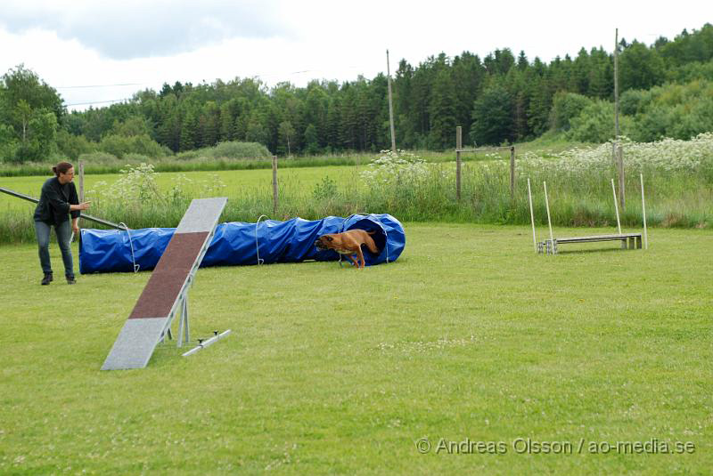 DSC_0029.JPG - 2010-06-20 Hundens dag på Axtorps Hundskola - Agility