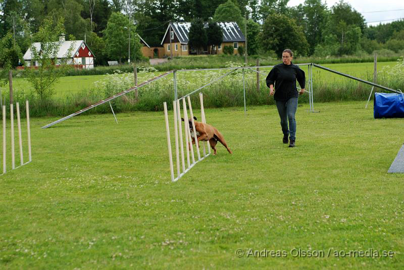 DSC_0030.JPG - 2010-06-20 Hundens dag på Axtorps Hundskola - Agility