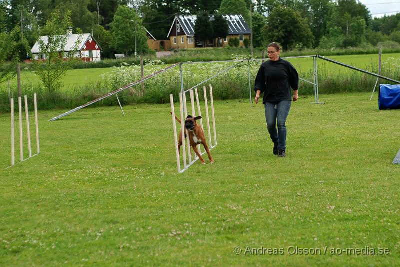 DSC_0032.JPG - 2010-06-20 Hundens dag på Axtorps Hundskola - Agility