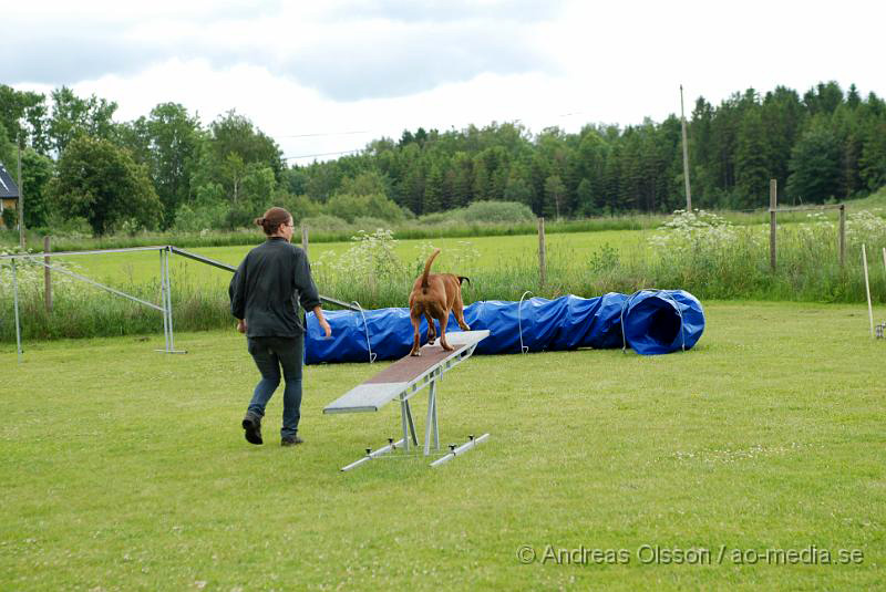 DSC_0033.JPG - 2010-06-20 Hundens dag på Axtorps Hundskola - Agility