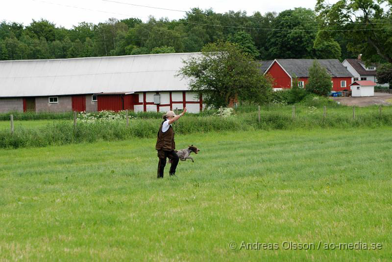 DSC_0041.JPG - 2010-06-20 Hundens dag på Axtorps Hundskola - Spårning