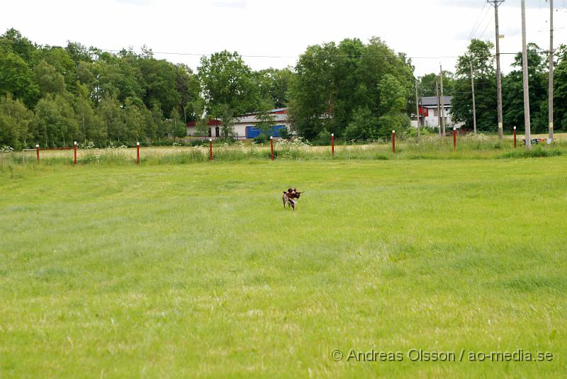 DSC_0053.JPG - 2010-06-20 Hundens dag på Axtorps Hundskola - Spårning