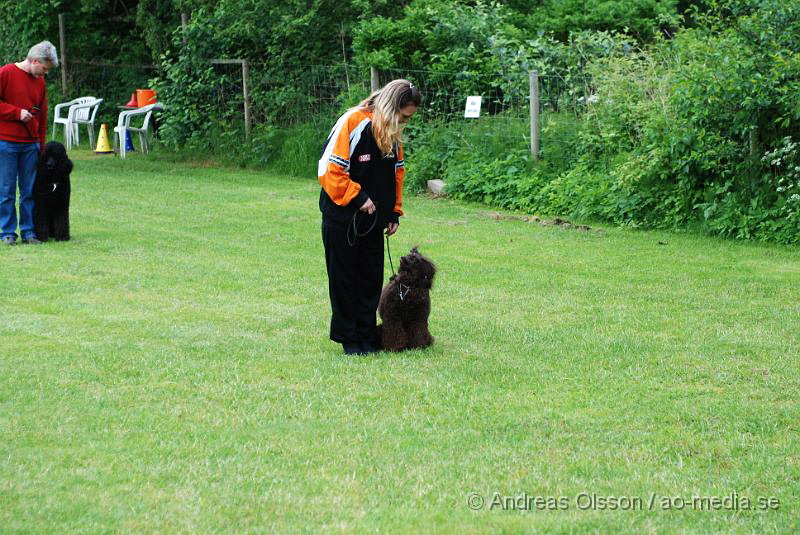 DSC_0064.JPG - 2010-06-20 Hundens dag på Axtorps Hundskola - Lydnad