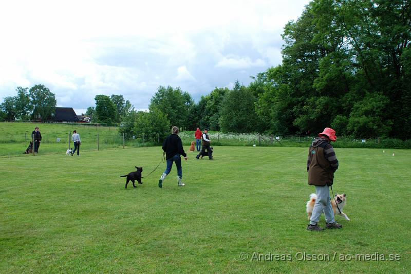 DSC_0066.JPG - 2010-06-20 Hundens dag på Axtorps Hundskola - Lydnad