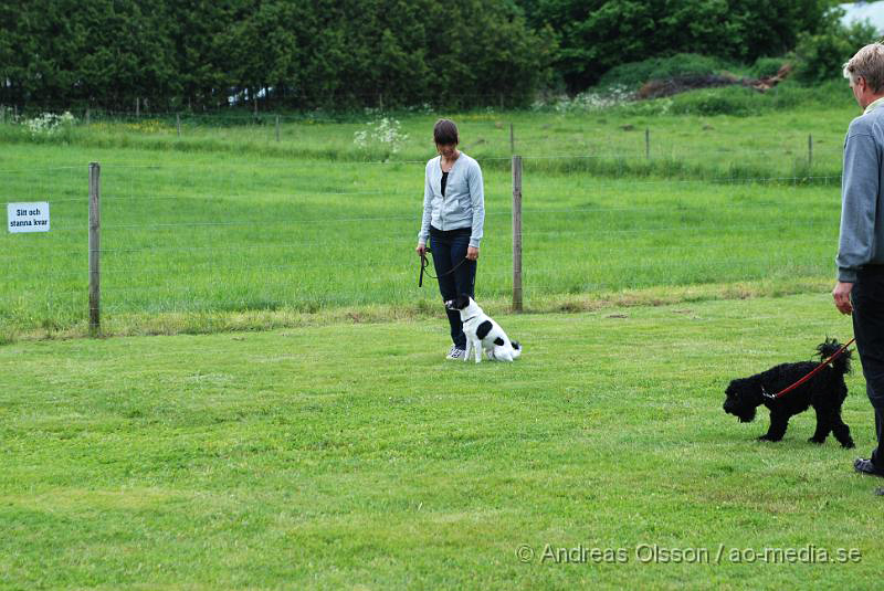 DSC_0074.JPG - 2010-06-20 Hundens dag på Axtorps Hundskola - Lydnad