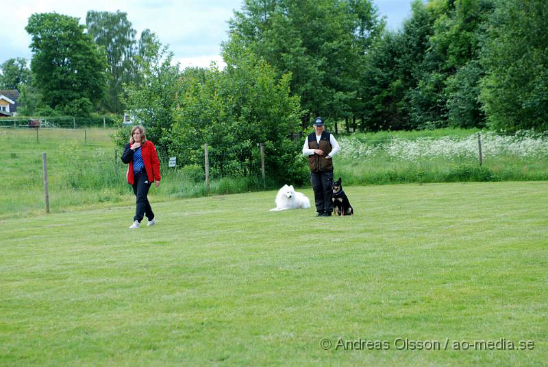 DSC_0078.JPG - 2010-06-20 Hundens dag på Axtorps Hundskola - Lydnad