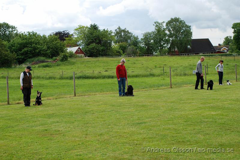 DSC_0095.JPG - 2010-06-20 Hundens dag på Axtorps Hundskola