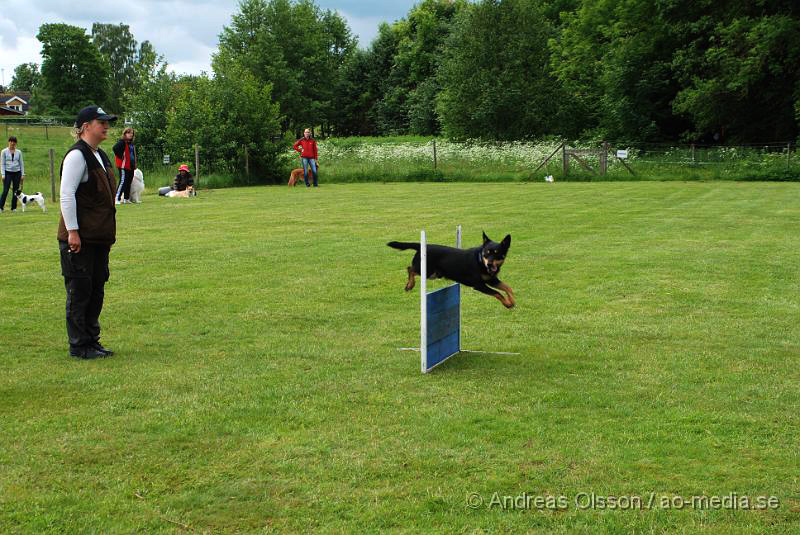 DSC_0098.JPG - 2010-06-20 Hundens dag på Axtorps Hundskola - Working Kelpie